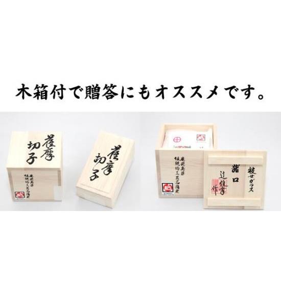 くもの巣 盃 瑠璃 グラス ガラス 酒器 【薩摩切子 鹿児島 伝統工芸品 