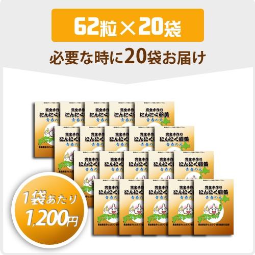 送料無料 お得な袋セット 完全手作りにんにく卵黄 青春の元 １袋62粒入 安心 安全 無添加 パワーボール Ninniku Rano かごしま通販便 通販 Yahoo ショッピング