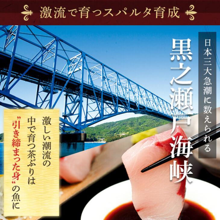 ぶり 鰤 さつま茶ぶりカマ付きフィーレ約1.6kg×2枚 セット 茶ぶり 刺身 さしみ 刺し身 魚 切り身 父の日 鹿児島 Never Land かごしまや｜kagoshima-uriba｜09