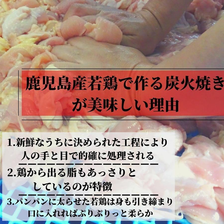 惣菜 詰め合わせ セット 冷凍 焼き鳥 肉グルメ コロコロ焼き 牛ハンバーグ 牛筋煮込み ギフト 贈答品 送料無料_6