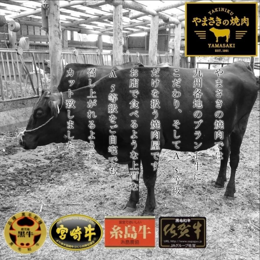 惣菜 詰め合わせ セット 冷凍 焼き鳥 肉グルメ コロコロ焼き 牛ハンバーグ 牛筋煮込み ギフト 贈答品 送料無料_7