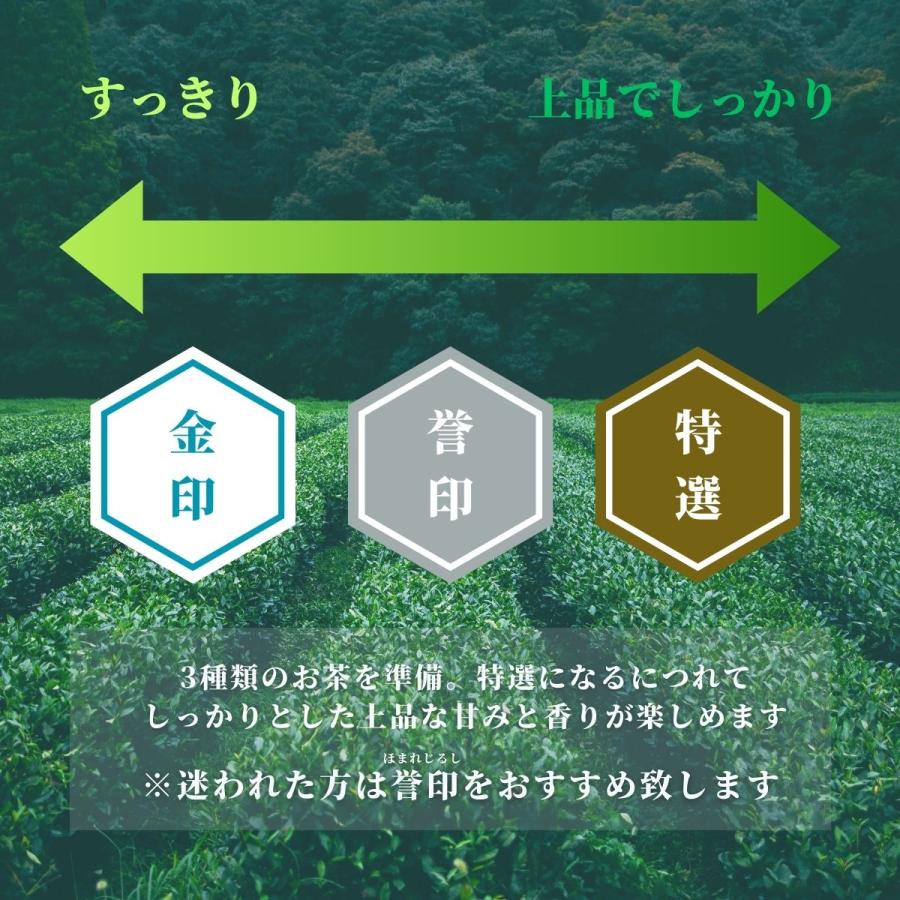 新茶 2024 送料無料 知覧茶 高級 老舗 深むし茶 茶葉 知覧特選 100ｇ×2本セット｜kagoshimachaen｜07