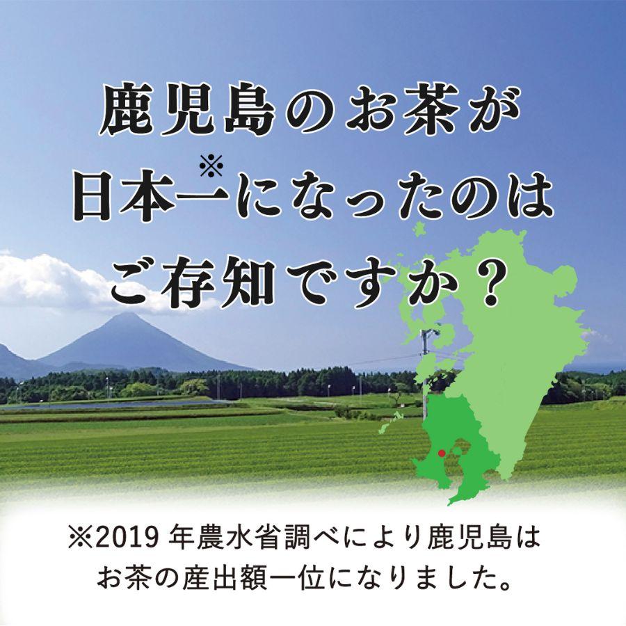 新茶 2024 送料無料 お徳用 お茶 緑茶 茶葉 日本茶 茶問屋のあまくておいしい鹿児島茶 220ｇ×3　｜kagoshimachaen｜07