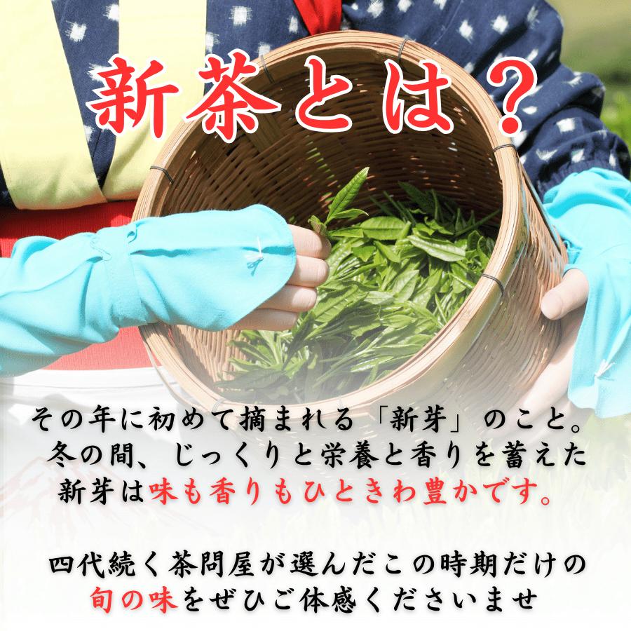 新茶 2026 送料無料 お徳用 お茶 緑茶 茶葉 日本茶 茶問屋のあまくて