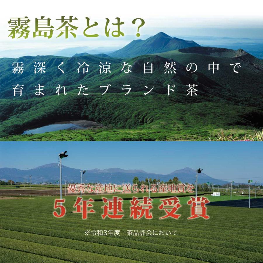 新茶 2024 お茶 緑茶 茶葉 日本茶 煎茶 霧島茶 形上煎茶 霧島特選 100ｇ｜kagoshimachaen｜04