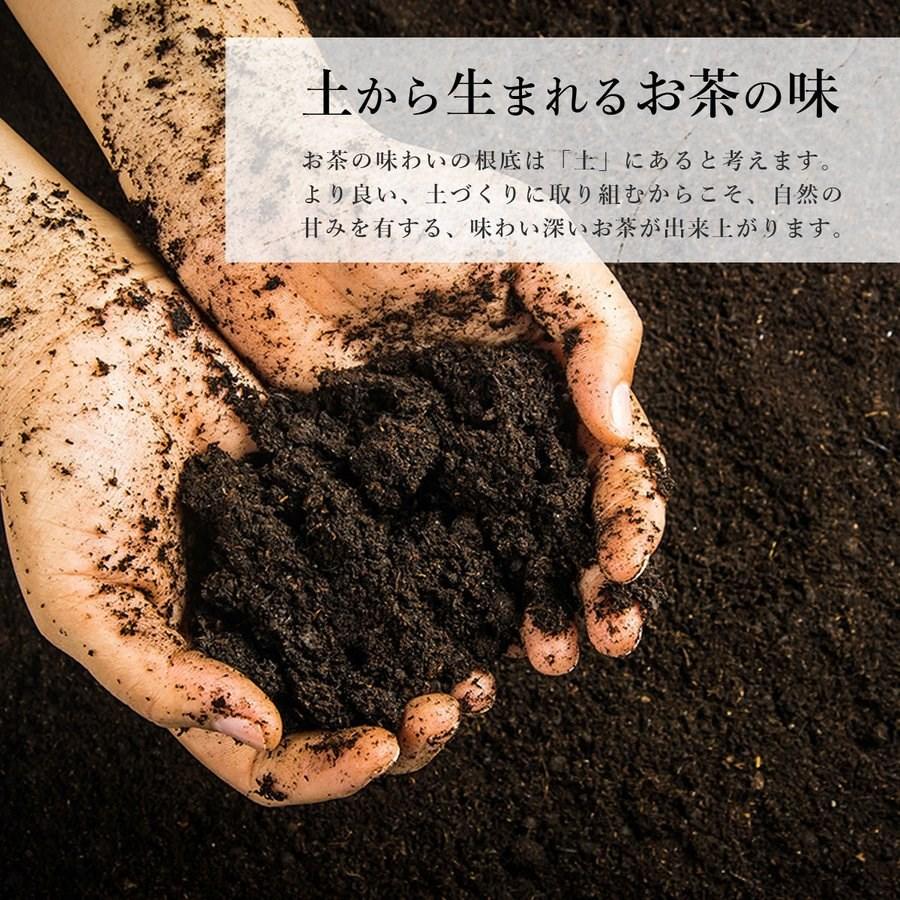 新茶 2026 お茶 緑茶 茶葉 日本茶 高級 鹿児島茶 深蒸し茶 煎茶 嘉