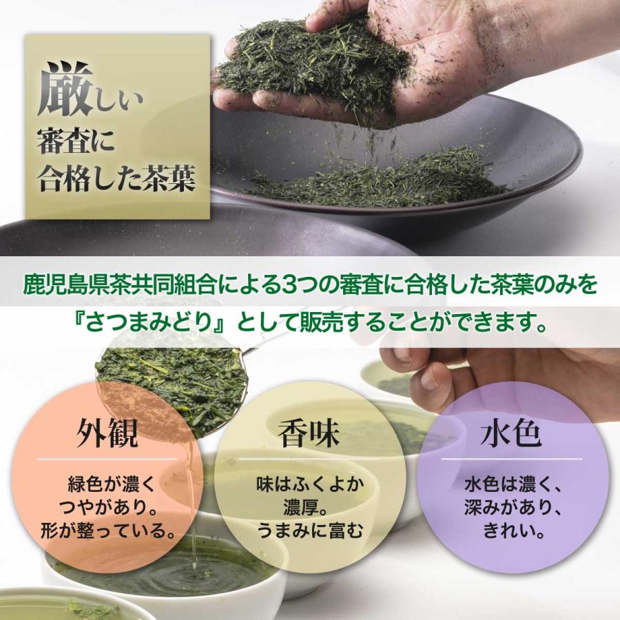 新茶 2026 お茶 緑茶 茶葉 日本茶 鹿児島茶 かごしま茶 煎茶 さつま