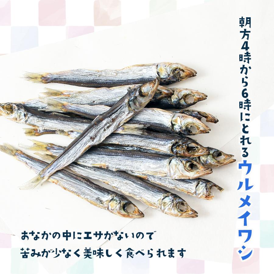 送料無料 [下園薩男商店] 丸干し 朝獲れウルメイワシ 焼ウルメ丸干し 20g×2袋セット/鹿児島/うるめいわし/丸干し/阿久根/旨味/香り/上乾 |  | 01