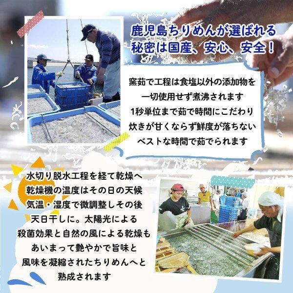 送料無料 [大久保水産] ちりめんじゃこ 1.5kg (箱入り)/鹿児島県 しらす 業務用 トッピング 大根おろし 酢の物 お茶漬け カルシウム 大容量 |  | 06