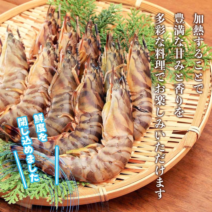 隼人車えび] 海鮮 冷凍車海老30型サイズ（加熱用） 1,000g(35尾前後