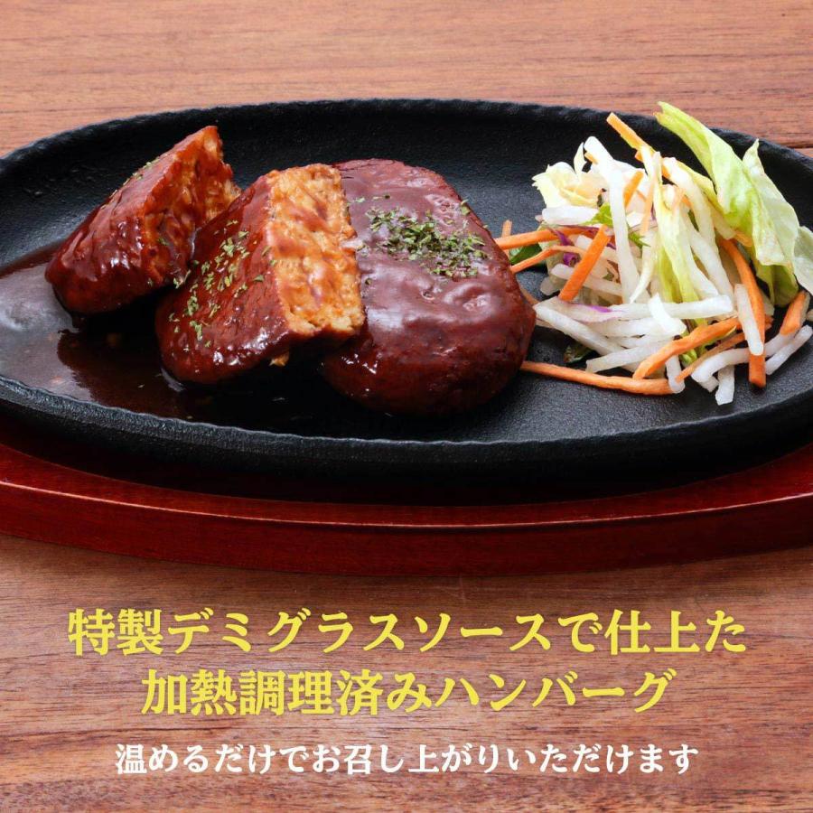 送料無料 [新洋水産] まぐろハンバーグ 180g×3個セット/健康志向/マグロ/鮪/低カロリー/美味しい/まぐろ肉100％/デミグラス/簡単調理/おかず/一品 |  | 02