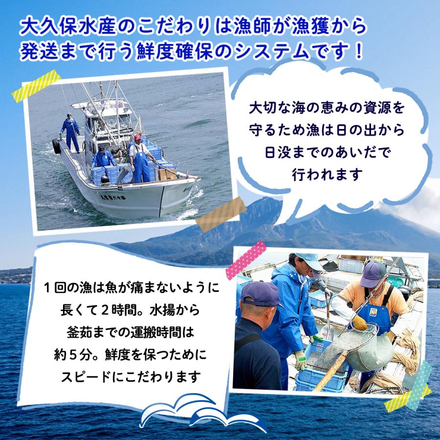 [大久保水産] ちりめんじゃこ 網元ちりめん天日干し 50g/鹿児島県/ちりめんじゃこ/こども/トッピング/大根おろし/酢の物/お茶漬け/つくだに/カルシウム |  | 09