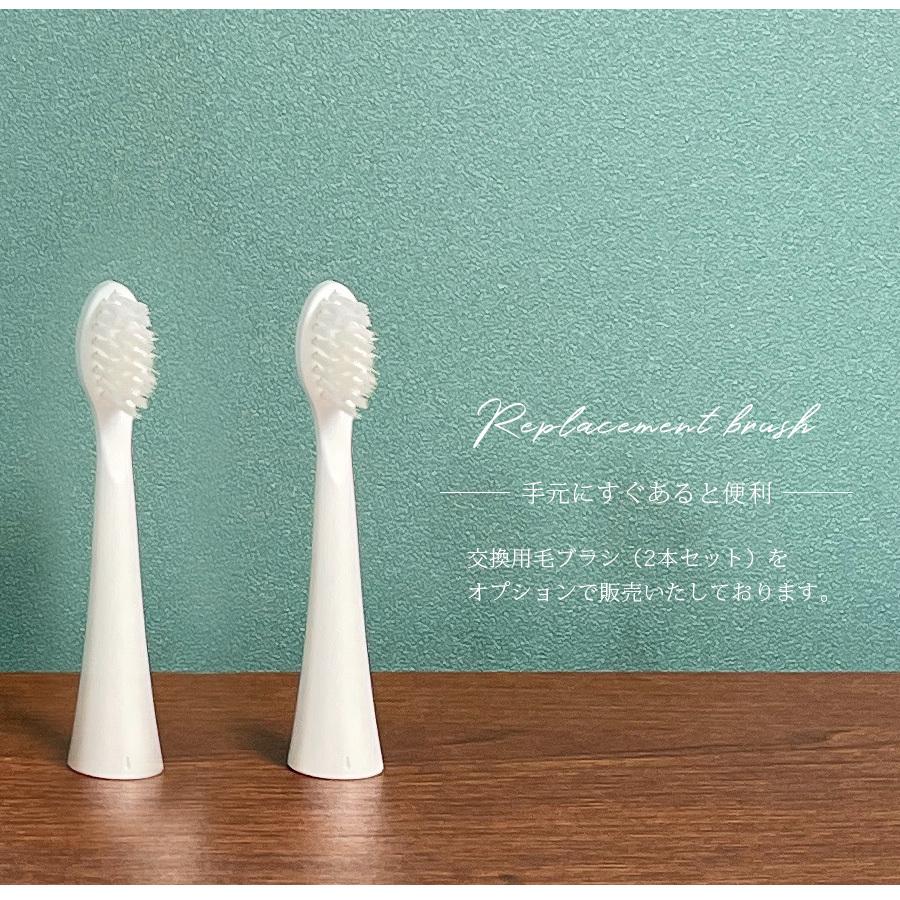 電動歯ブラシ シャイニーキャビテック 歯ブラシ 替え 自宅で出来る
