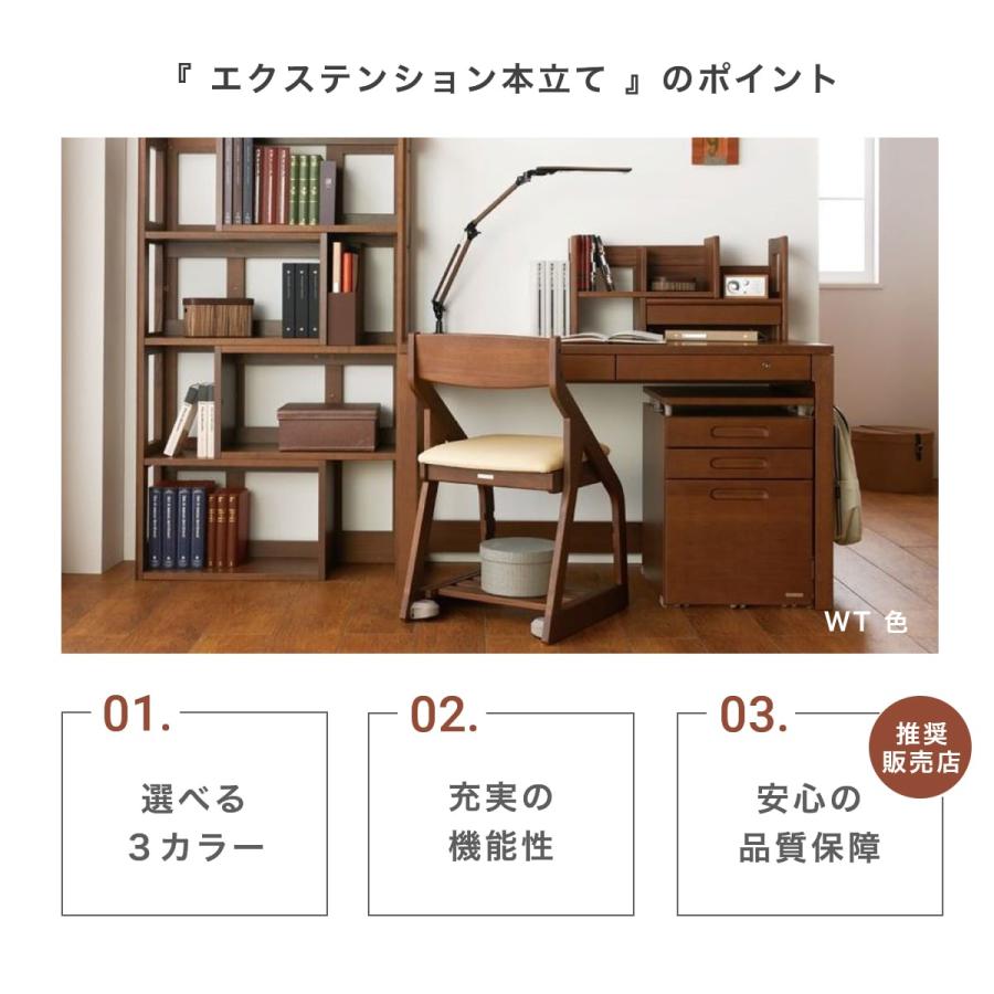 コイズミファニテック コイズミ ビーノ エクステンション 本立て コイズミファニテック コイズミ ビーノ エクステンション 本立て