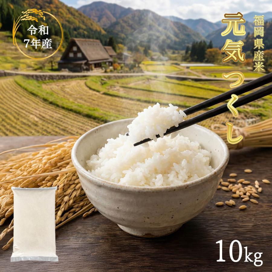 R7年 農家の新米 元気つくし 10キロ 令和7年産 元気つくし 福岡県産 10kg 米 お米 九州産 コメ おこめ