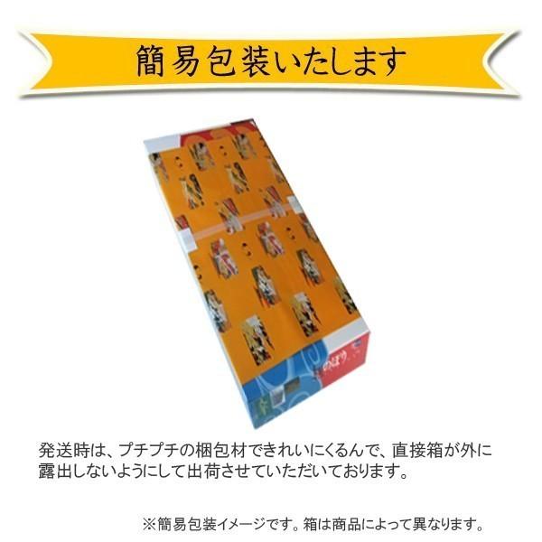 鯉のぼり 錦鯉 スタンドセット 江戸20号 五色吹付Cタイプセット ロープ/矢車/ポール/スタンド/水袋付き ベランダ用 節句用品 端午の節句_4