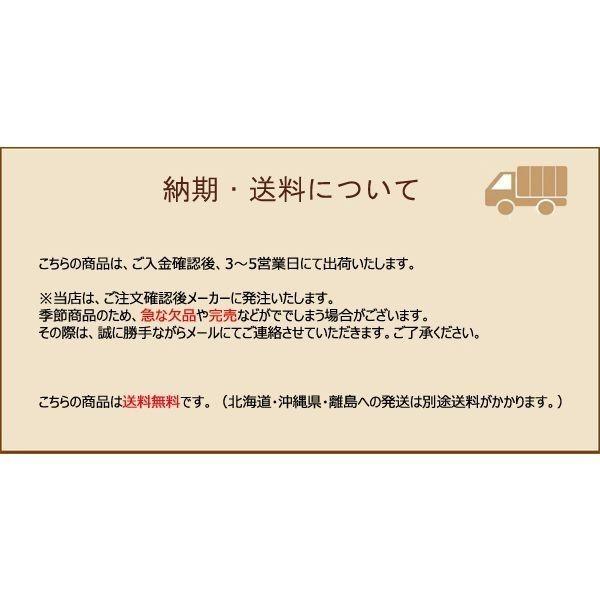 鯉のぼり 錦鯉 スタンドセット 江戸20号 五色吹付Cタイプセット ロープ/矢車/ポール/スタンド/水袋付き ベランダ用 節句用品 端午の節句_5
