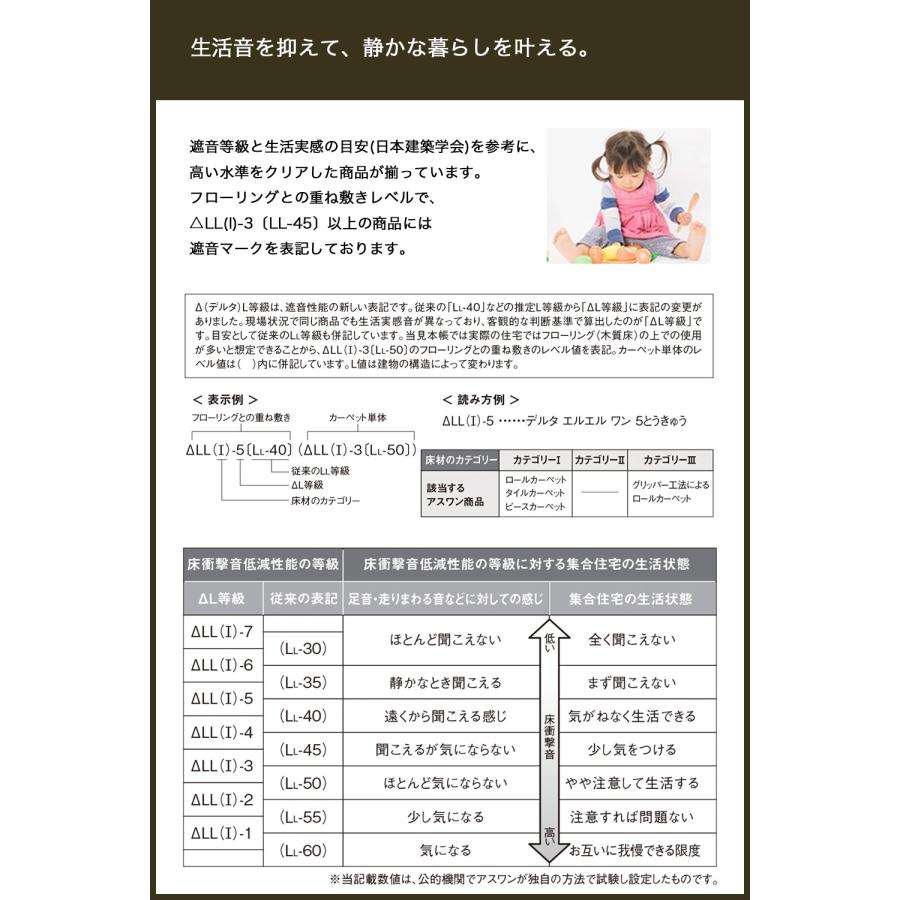 【アスカノン　中京間サイズ】防炎　制電　SIAA　抗菌　遮音　遊び毛防止　防ダニ　消臭　絨毯　じゅうたん　カーペット　ラグ_7