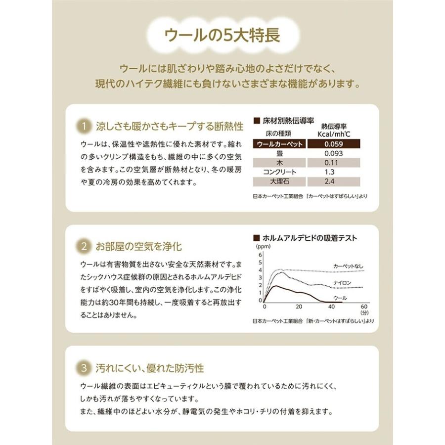 中京間 4.5畳 273×273 アスモール】防炎・制電・防虫・防ダニ 中京間 4.5畳 273×273 アスモール】防炎・制電・防虫・防ダニ