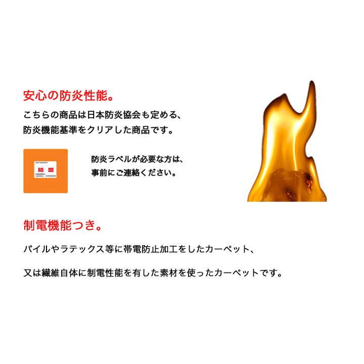 中京間 4.5畳 273×273 アスモール】防炎・制電・防虫・防ダニ 中京間 4.5畳 273×273 アスモール】防炎・制電・防虫・防ダニ