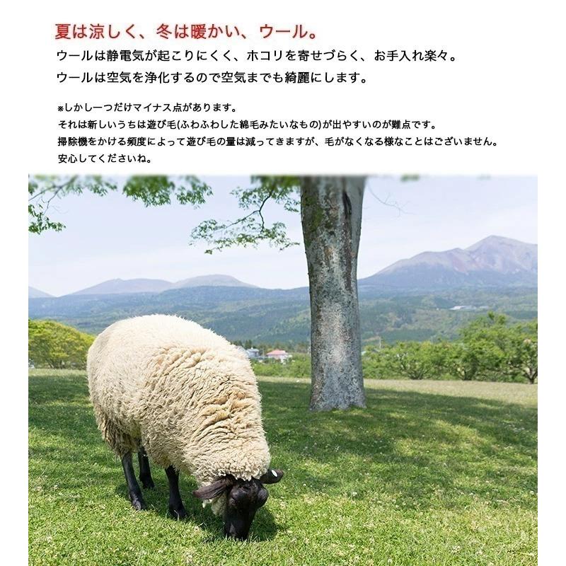 本間 10畳 382×477 エステート】防炎・制電・防ダニ抗菌・カーペット