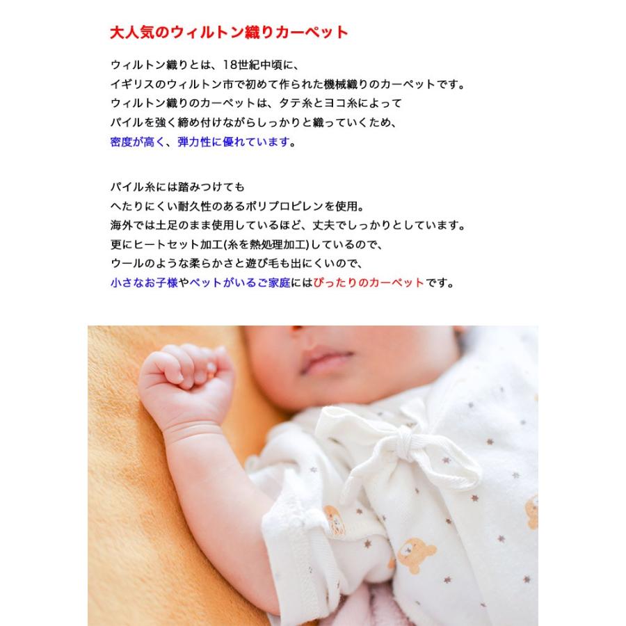 確認用　　ノッティング織り ウィルトン織 約2.5畳 160×230 ラグナ】トルコ製・絨毯(じゅうたん