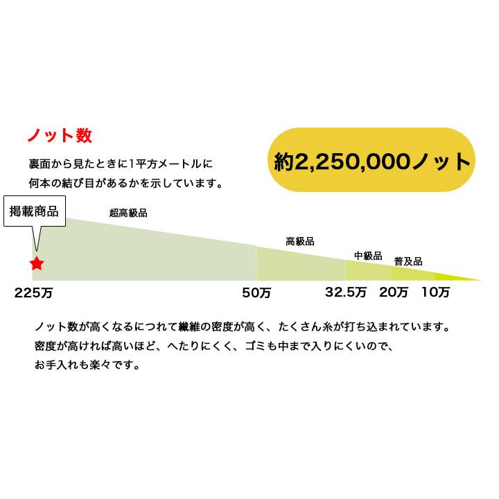 ウィルトン織 玄関マット 60×90 リブレット】イラン製・絨毯 
