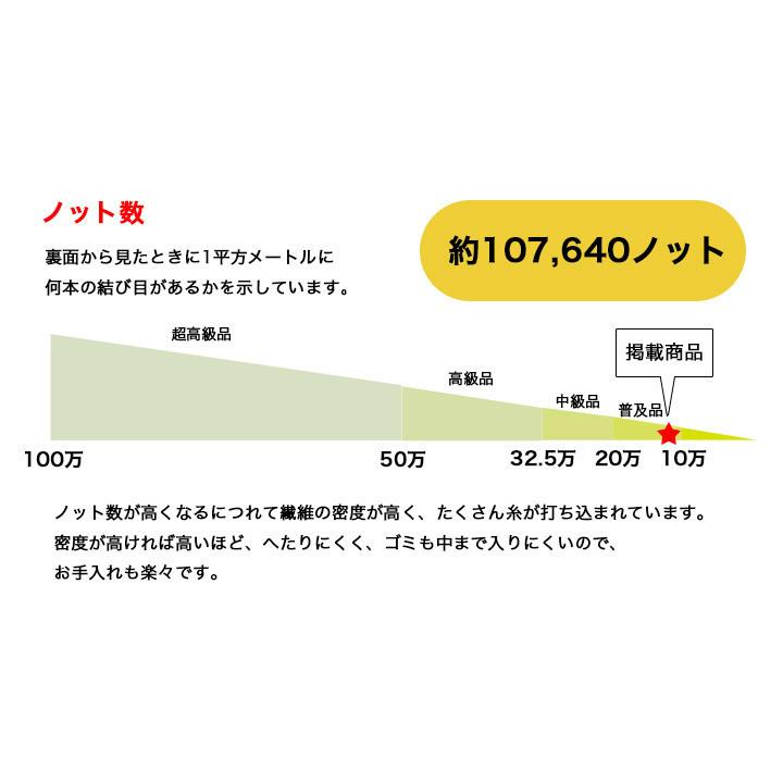 【アキスミンスター織 約3畳 200×250 ニューダルシェリ】モンゴル製・絨毯(じゅうたん)・カーペット・ラグ・ウール&ナイロン・ギャッベ(ギャベ)風_6
