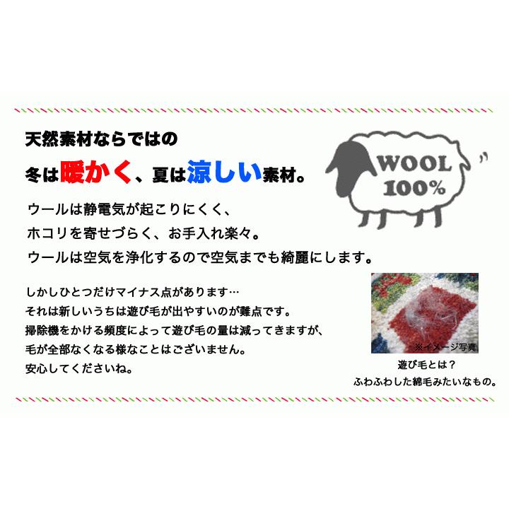 【アキスミンスター織 約3畳 200×250 ニューダルシェリ】モンゴル製・絨毯(じゅうたん)・カーペット・ラグ・ウール&ナイロン・ギャッベ(ギャベ)風_7