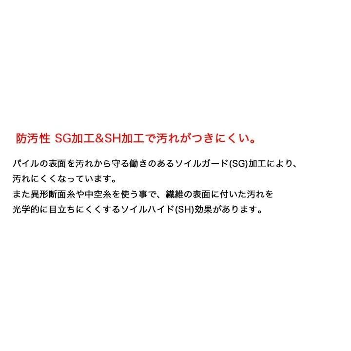 【中京間 12畳 364×546 トリニティ】防炎・制電・防汚・防ダニ抗菌・遊び毛がでにくい・カーペット・絨毯(じゅうたん)・ラグ_9
