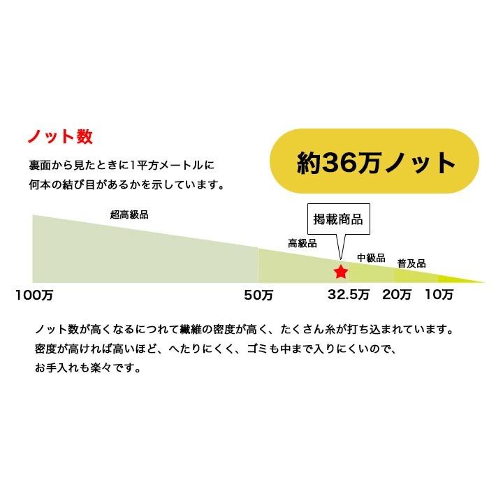 【ウィルトン織 約3畳 200×250 ボカロ】トルコ製・絨毯(じゅうたん)・カーペット・ラグ・ポリエステル・密度約36万ノット・防炎｜kagu-nakanishi｜08