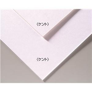 (まとめ)アーテック A＆B オリジナル 両面アートボード/イラストボード 〔B4〕 ECO素材 ケント 〔×30セット〕