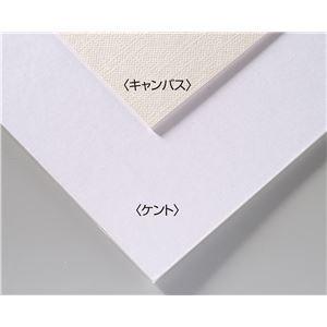 (まとめ)アーテック A＆B オリジナル 両面アートボード/イラストボード 〔B4〕 ECO素材 キャンバス 〔×30セット〕