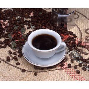 【最安値挑戦中】 タカノコーヒー ショットワンカフェ 有機イタリアーノ12個セット AZB1216X12〔代引不可〕 【2310146430】(12071円)