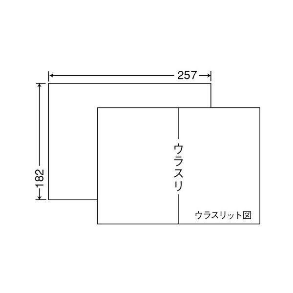 (まとめ) 東洋印刷 ナナコピー シートカットラベル マルチタイプ B5 ノーカット 257×182mm C1B5 1箱（1000シート：100シート×10冊） 〔×10セット〕