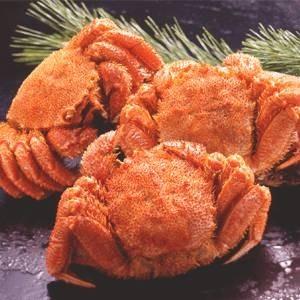 〔北海道産〕沸騰させる毛ガニ姿（約350g×3尾）〔代引不可〕