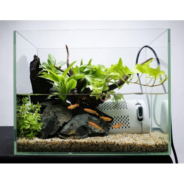 テトラ サイレントフレックスセット 幅30cm （ペット用品） : 家具