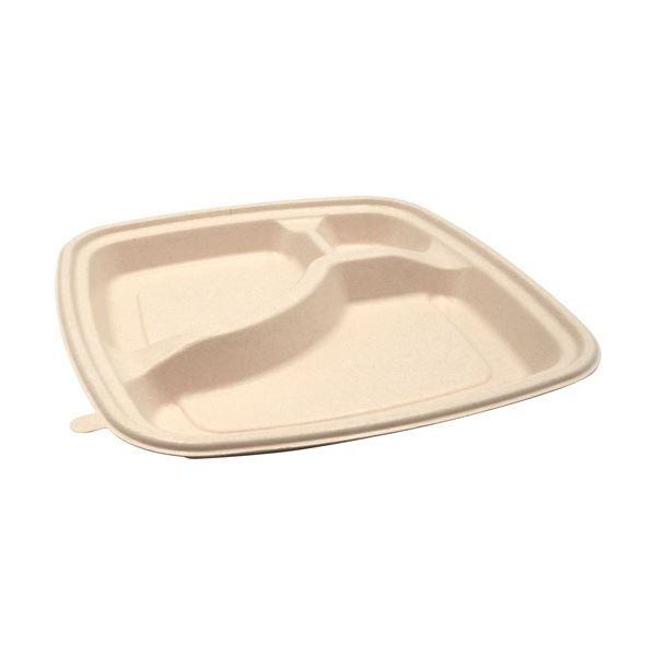 (まとめ) パックスタイル BB竹バガス弁当 N23-23B ラミ 227×227×高さ25mm 1パック(50枚) 〔×3セット〕