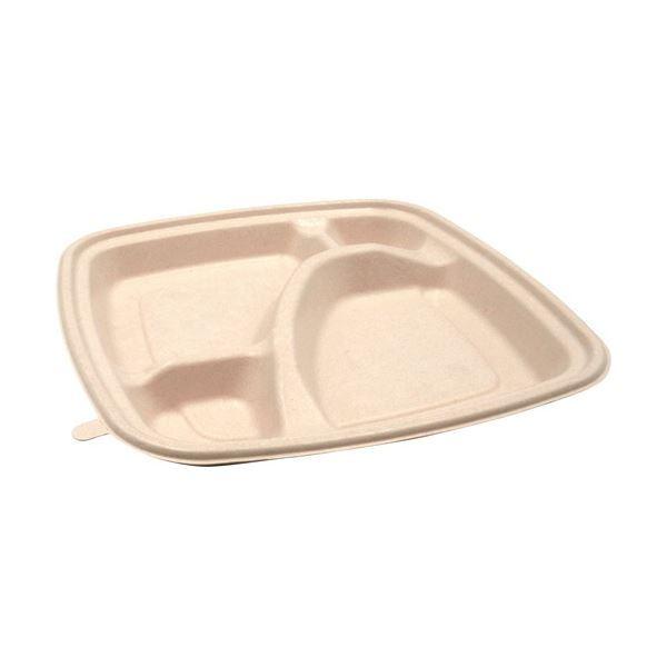 (まとめ) パックスタイル BB竹バガス弁当 N23-23A ラミ 227×227×高さ25mm 1パック(50枚) 〔×3セット〕