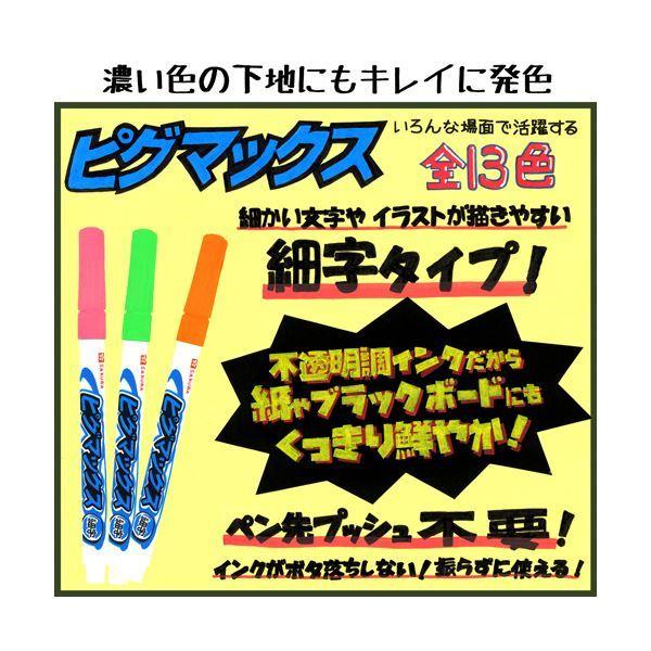 （まとめ）サクラクレパス 水性マーカー ピグマックス 細字 12色セット ZPK-S12 1パック〔×10セット〕の画像