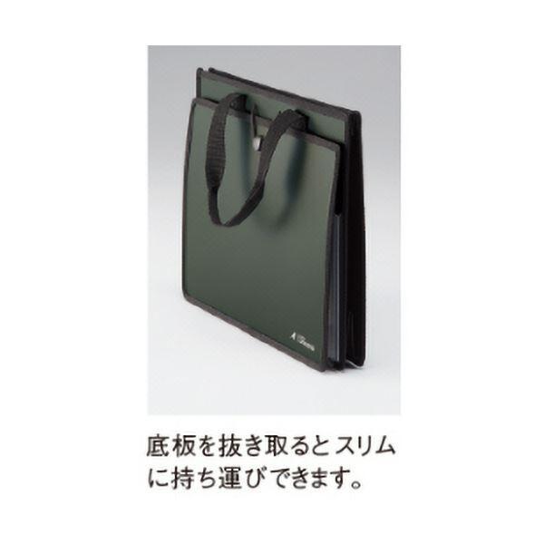 （まとめ）リヒトラブ ALTNAツールバッグ(P.P.) A4ヨコ オリーブ A-7773-22 1個〔×10セット〕の画像