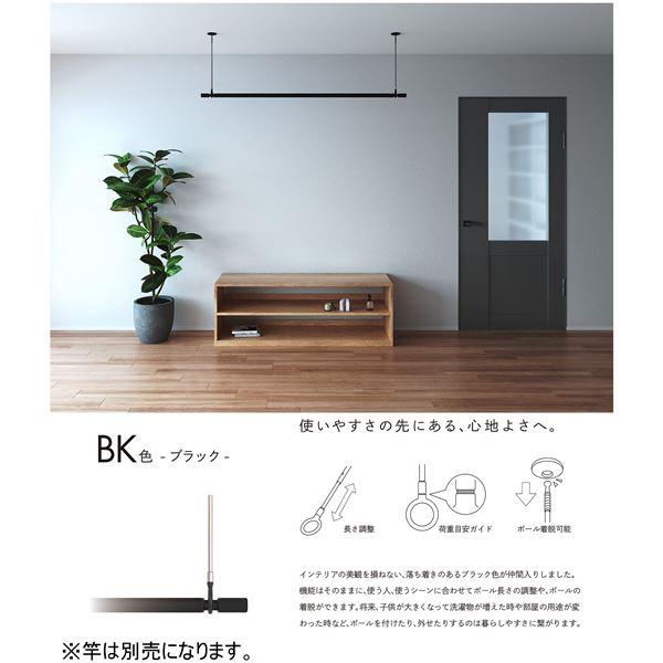 ホスクリーン SP型 SPCLL-BK ブラック (2本入)の画像