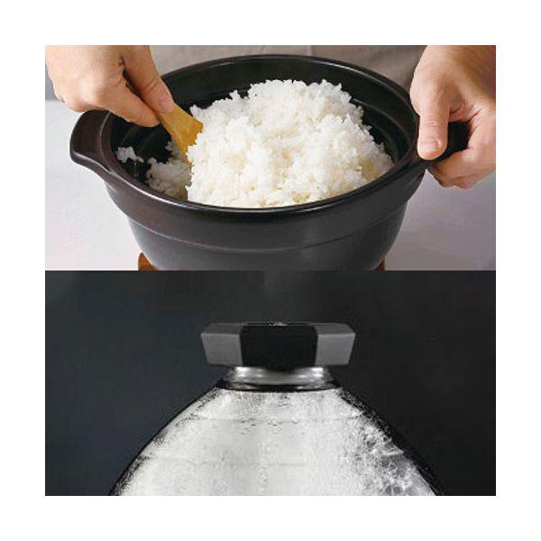 HARIO ハリオ フタがガラスのご飯釜 2〜3合炊き 〔ご飯が炊ける様子が