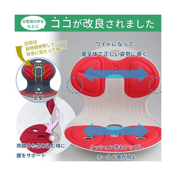 DCT 改良型・天使の椅子プレミアム 姿勢矯正・骨盤チェア 噂の美姿勢サポート 腰や背中を包み込む ブラウン DCT-BR1000_2