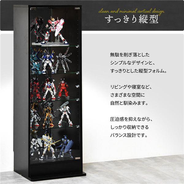 コレクションケース 〔 Lサイズ ライトグレー 〕 扉付き 背面ミラー