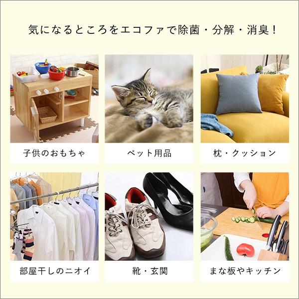 エコファ ウィルス・細菌・シックハウス対策スプレー(300mlタイプ)ウィルス、細菌、有害物質の除菌＆分解、抗菌、消臭効果【ECOFUR】24本セット ウィルス 細菌
