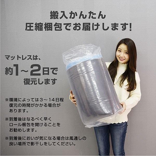 超激得通販 特殊 高反発三つ折りマットレス2枚付 耐荷重300kg 二段ベッド 2段ベッド ムーン2 -ART パイプ スチ−ル 耐震 寮 社員 社宅 下宿 施設 合宿 ブラック