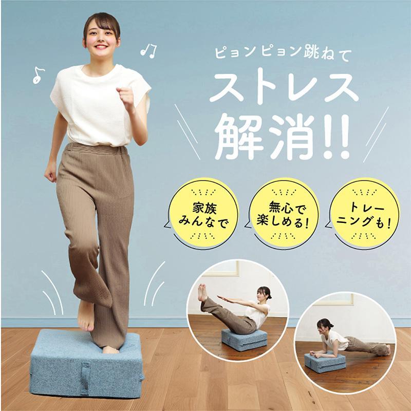 ALINCO（アルインコ） トランポリン クッション 高反発 ポケットコイル