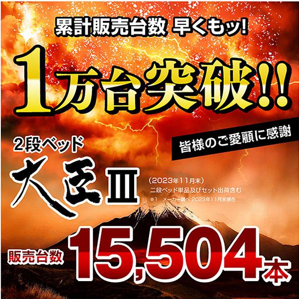 代引き人気 2段ベッド 二段ベッド 天然木 コンパクト 耐荷重500kg 二段ベッド 宮付きコンセント付 社員 寮 大人用 大臣3(フレームのみ)-ART