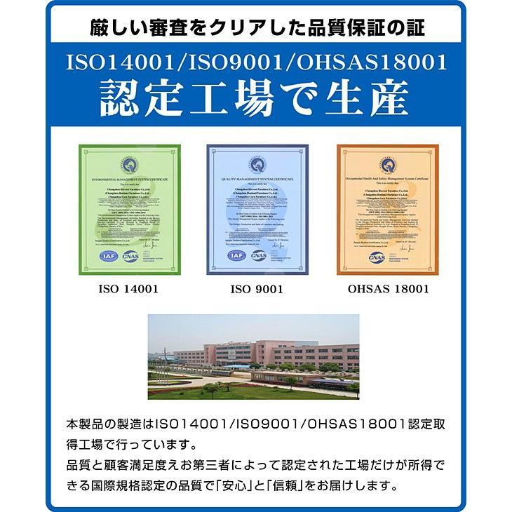 電動ベッド 介護向け 2モーター リクライニング（竹炭マットレス付）足上げ 腰痛対策 価格 ランキング シングル プレジデント-ART (サイドテーブル付)ART_16